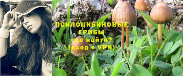 прущие крисы Михайловка