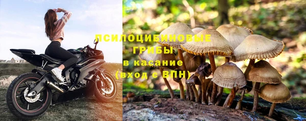 кокс Михайловск
