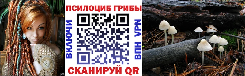мориарти официальный сайт Минусинск Псилоцибиновые грибы MAGIC MUSHROOMS наркошоп