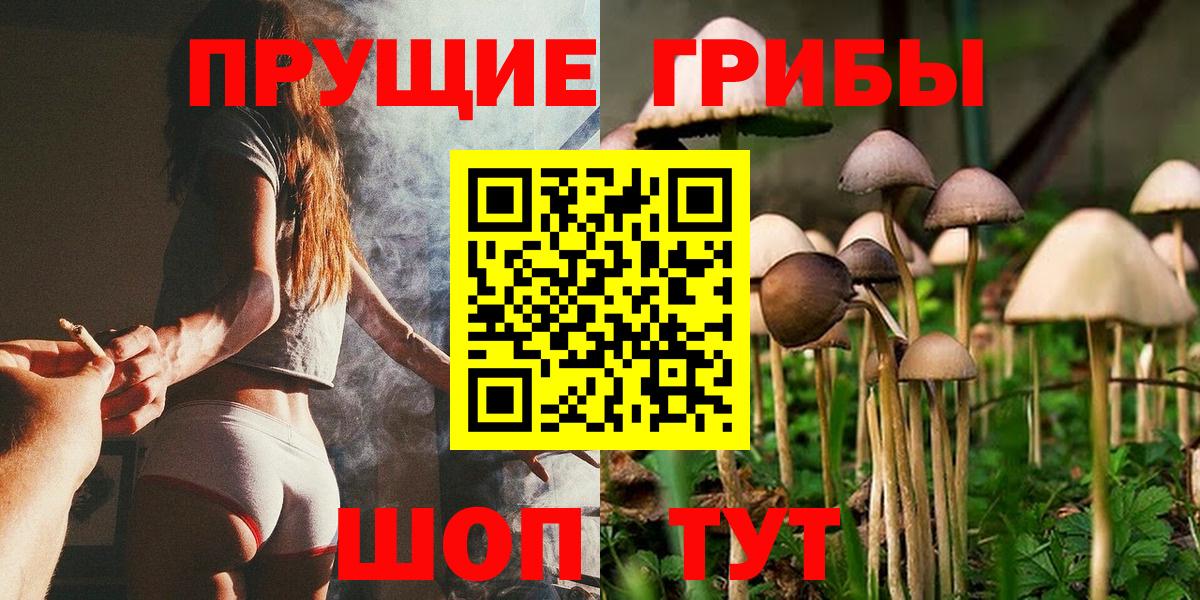 сколько стоит  Псилоцибиновые грибы мицелий  Вход с VPN  Минусинск 